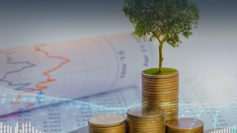 选择体系认证咨询时，应关注以下几个关键指标：